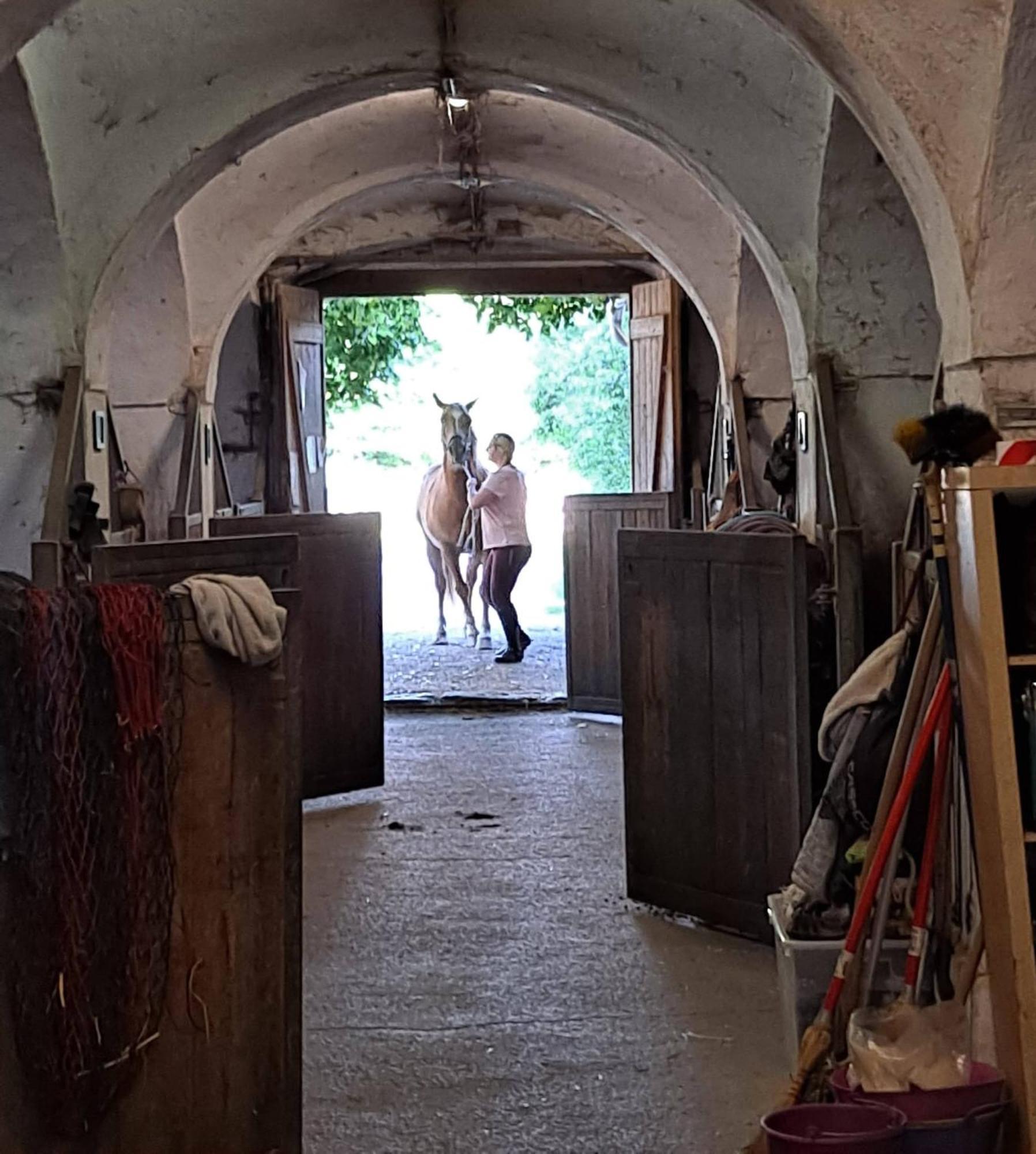 Ferienwohnung Ottmanach Josefhof Pischeldorf Eksteriør billede