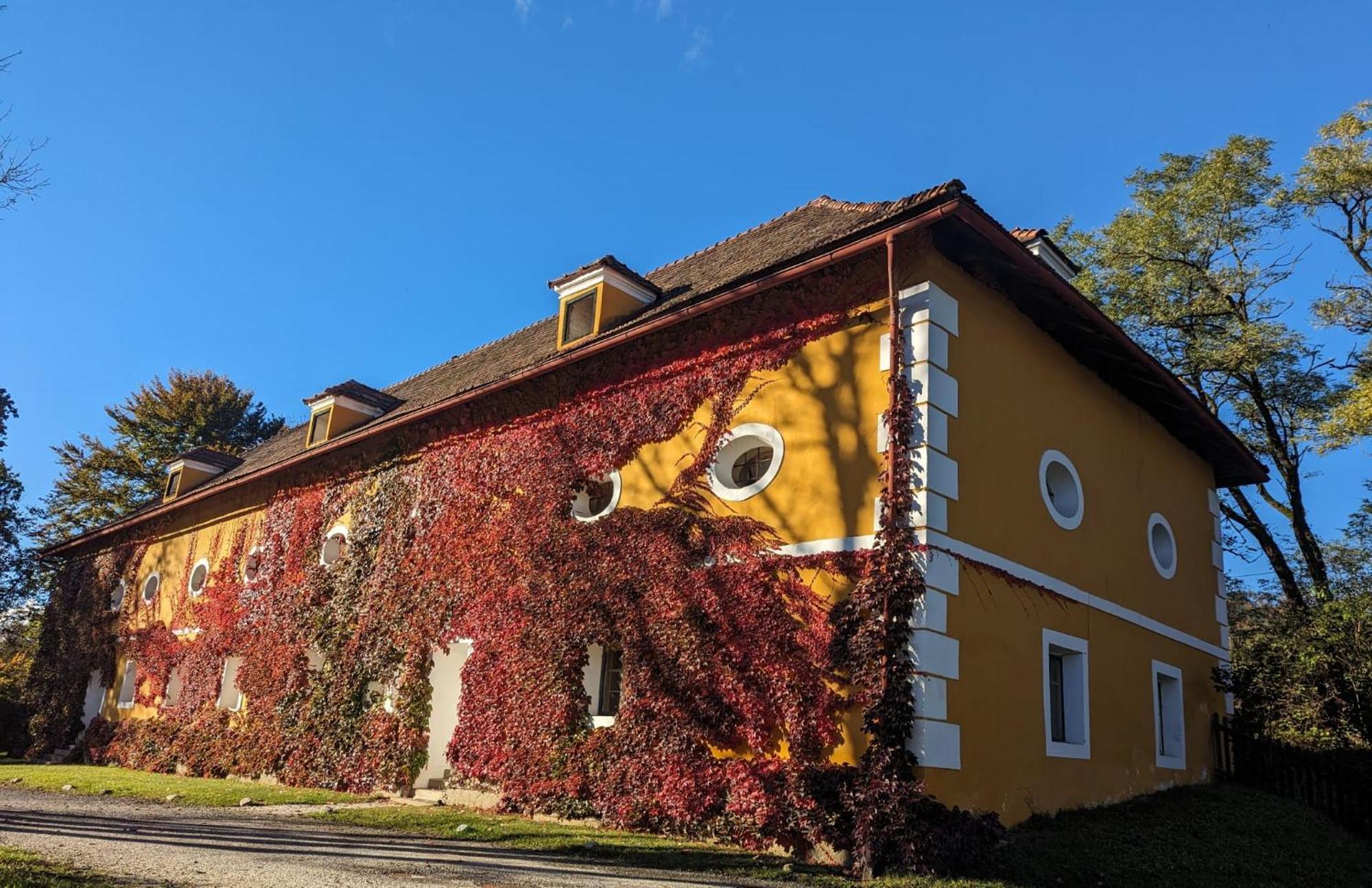 Ferienwohnung Ottmanach Josefhof Pischeldorf Eksteriør billede