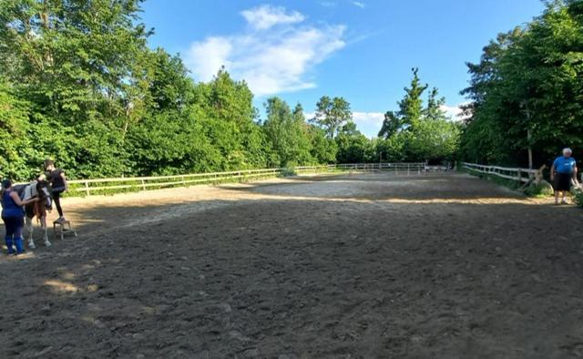 Ferienwohnung Ottmanach Josefhof Pischeldorf Eksteriør billede